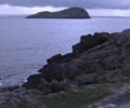 Loneliness