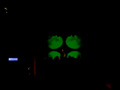 Kill the vultures @ locomotiv